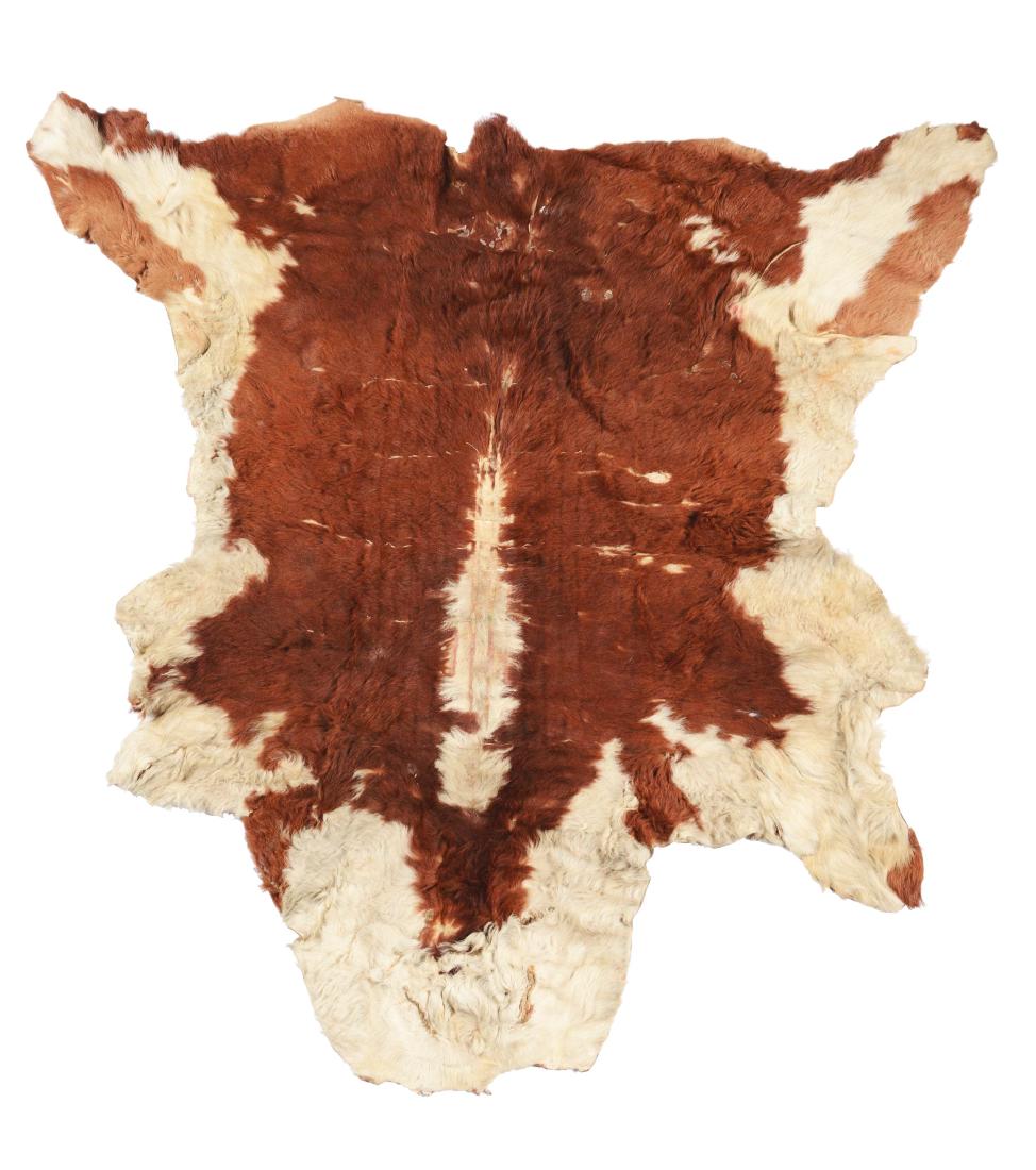 Plains Child's Calf Hide Robe. (1 of 4)