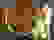 item-59335571=5