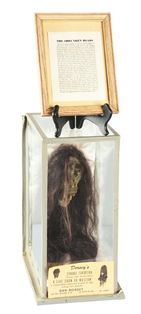 Dan Dorsey Shrunken Head In Display Case. (1 of 6)