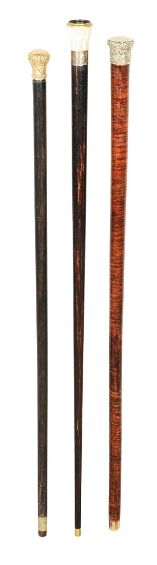 Lot Of 3: Canes. (1 of 6)
