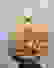 item-62100055=2