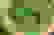 item-77532259=4