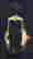item-77532344=2