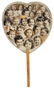 1912 - 1914 RARE COCA-COLA GUM FAN.