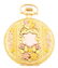 FANCY 14K GOLD ELGIN 381 MULTICOLOR H/C POCKET WATCH - 2