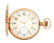 FANCY 14K GOLD ELGIN MULTICOLOR H/C POCKET WATCH