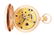 18K PINK GOLD ELGIN, B. W. RAYMOND H/C KEY-WIND POCKET - 6