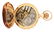 14K GOLD ELGIN, SCALLOPED H/C POCKET WATCH W/SCENIC - 5