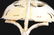 A SET OF THREE GORHAM STERLING LADLES. - 5