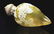 THOMAS WEBB CAMEO ENGLISH PERFUME BOTTLE.
