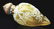 THOMAS WEBB CAMEO ENGLISH PERFUME BOTTLE. - 2