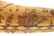 LARGE ENGRAVED POWDER HORN OF EDWARD BOURKE DATED 1868. - 10