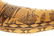 LARGE ENGRAVED POWDER HORN OF EDWARD BOURKE DATED 1868. - 11