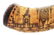 LARGE ENGRAVED POWDER HORN OF EDWARD BOURKE DATED 1868. - 12