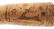 FOLK ART POWDER ENGRAVED POWDER HORN INSCRIBED "THE - 10