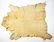 NATIVE AMERICAN ELK SKIN WEARING BLANKET. - 2