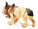 VERY DESIRABLE FRENCH PAPER MACHE GROWLING BULLDOG. - 2