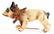 VERY DESIRABLE FRENCH PAPER MACHE GROWLING BULLDOG. - 4