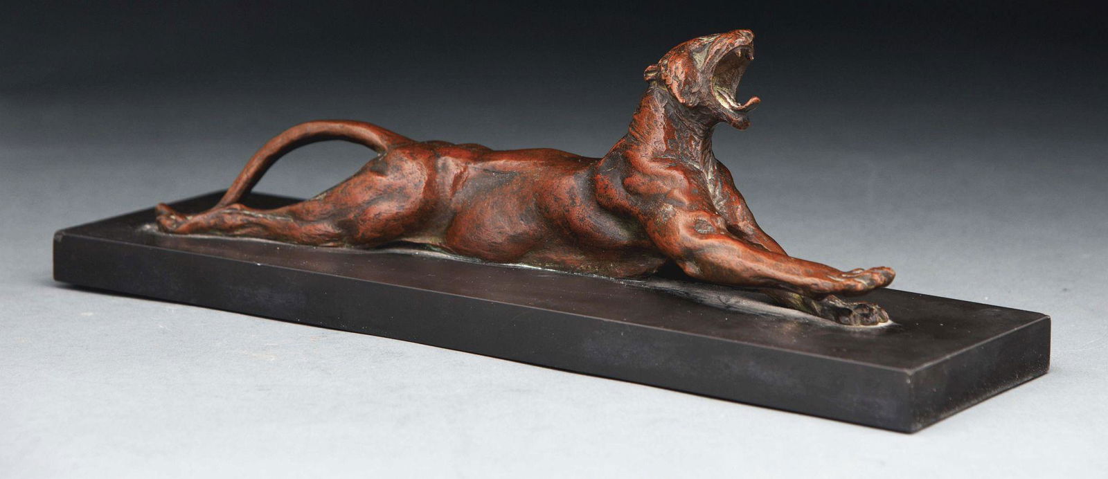 YAWNING TIGER BY ANNA VAUGHN HYATT HUNTINGTON.: An American Art Nouveau bronze sculpture "Yawning Tiger" by Anna Vaughn Hyatt Huntington, cast by Gorham Manufacturing Company. Depicts a yawning and fully outstretched tiger finished in its original