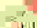 item-103220015=3
