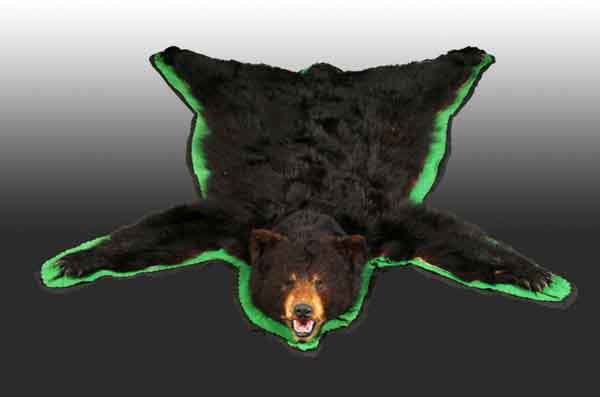 Pennsylvania Black Bear Rug.: 62" x 57". (Very Good).