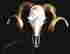 item-115964321=2