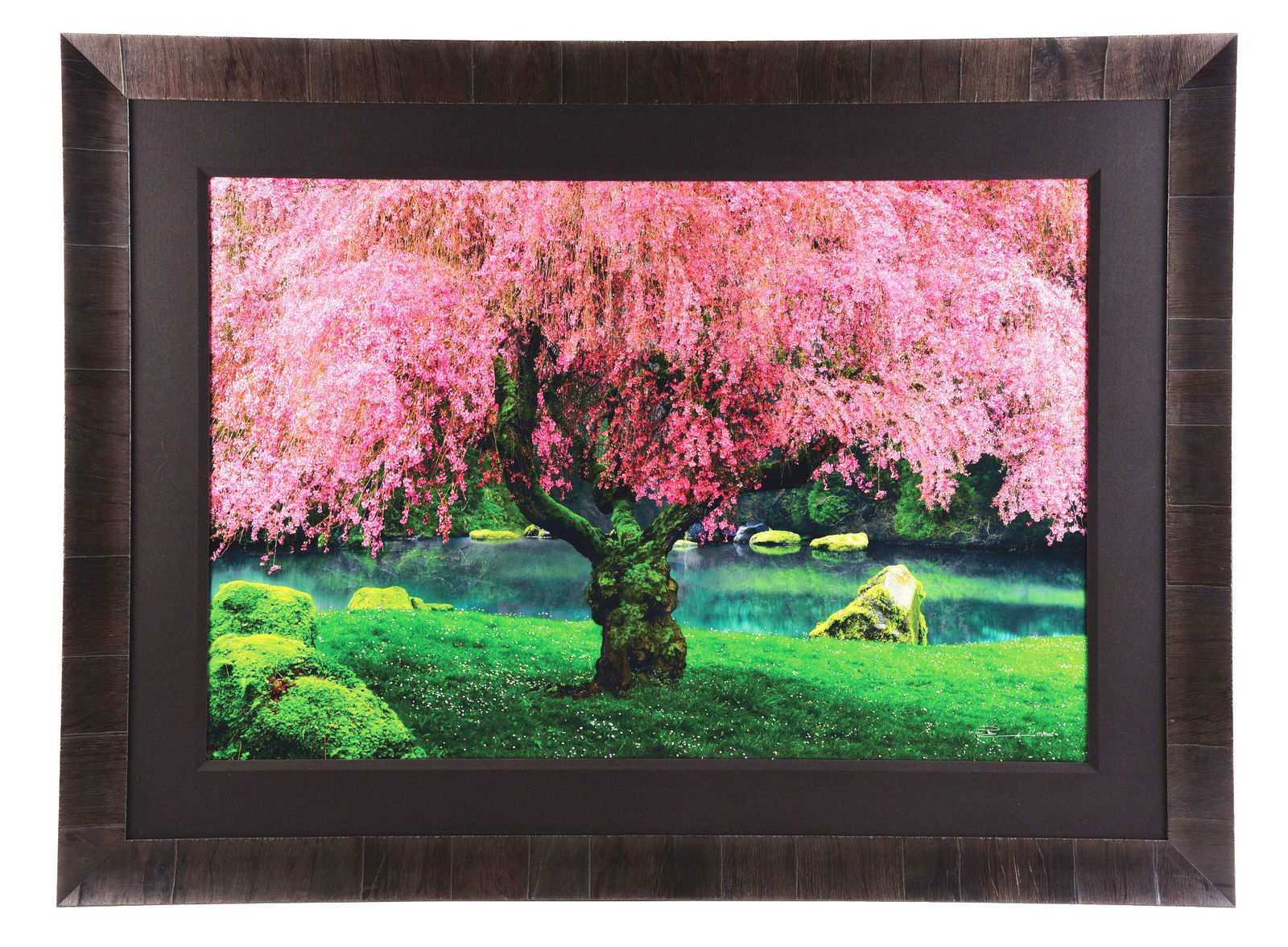 PETER LIK LIMITED EDITION FRAMED PHOTOGRAPH "TREE OF DREAMS".: Tree of Dreams looks like something out of a fairy tale. Located in Washington State, the weeping cherry tree, the moss on the rocks, the green grass and the pond make up this stunning photograph. Thi