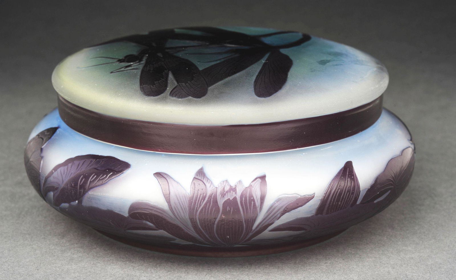 GALLE CAMEO DRAGONFLY BOX. (1 of 7)