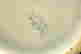 item-128095688=6