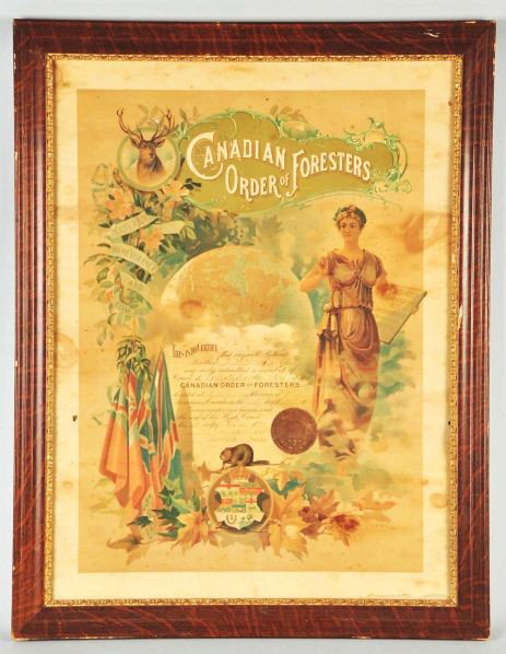 Paper Canadian Order of Foresters Poster.: Description Dated 1898. Framed under glass in vintage frame. Depicting a lady, deer, and beaver. Some staining, mostly to border. Condition (Very Good). Size Framed: 31 - 1/2" x 24 - 1/2".