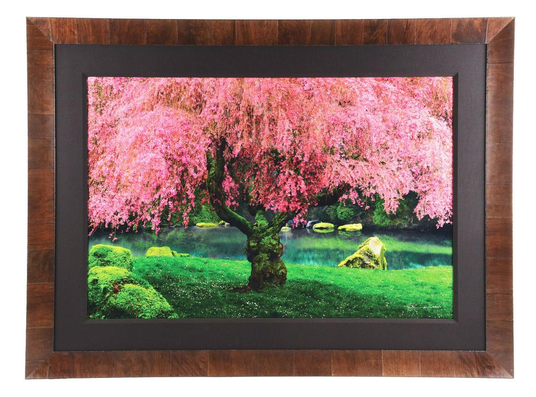 PETER LIK LIMITED EDITION FRAMED PHOTOGRAPH "TREE OF DREAMS".: Tree of Dreams looks like something out of a fairy tale. Located in Washington State, the weeping cherry tree, the moss on the rocks, the green grass and the pond make up this stunning photograph. Pri