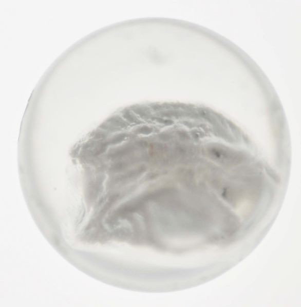 Hedgehog Sulphide Marble.: Description Marble has a subsurface reflection and several chips. This is a hard-to-find sulphide, under one inch. Condition (8.9). Size 15/16"" Dia."
