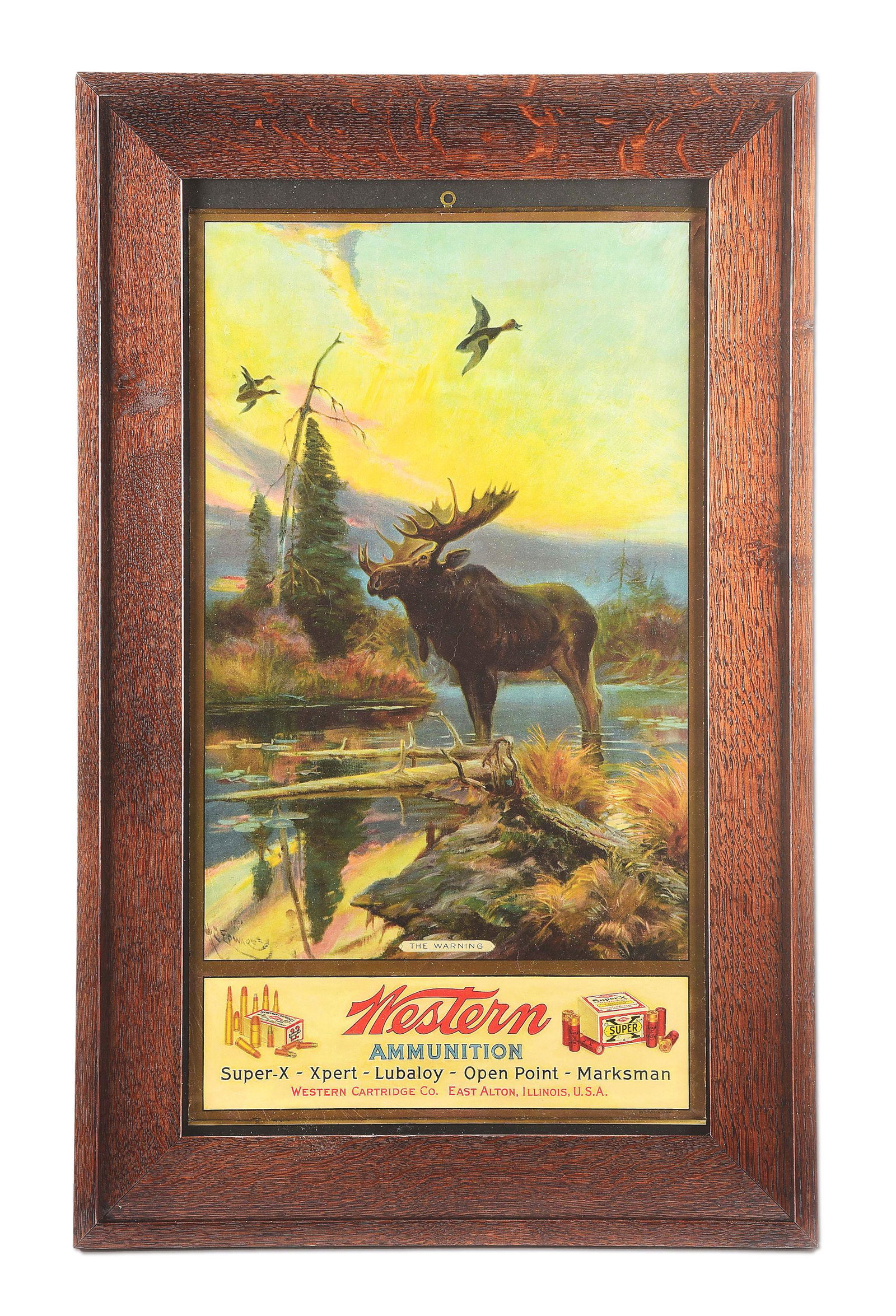 WESTERN AMMUNITON ADVERTISEMENT POSTER.: Titled "THE WARNING". A Western Ammunition advertisement poster featuring a big bull moose standing in a swamp and surveying his domain as 3 ducks fly overhead. The artist H. G. Edwards signature is i