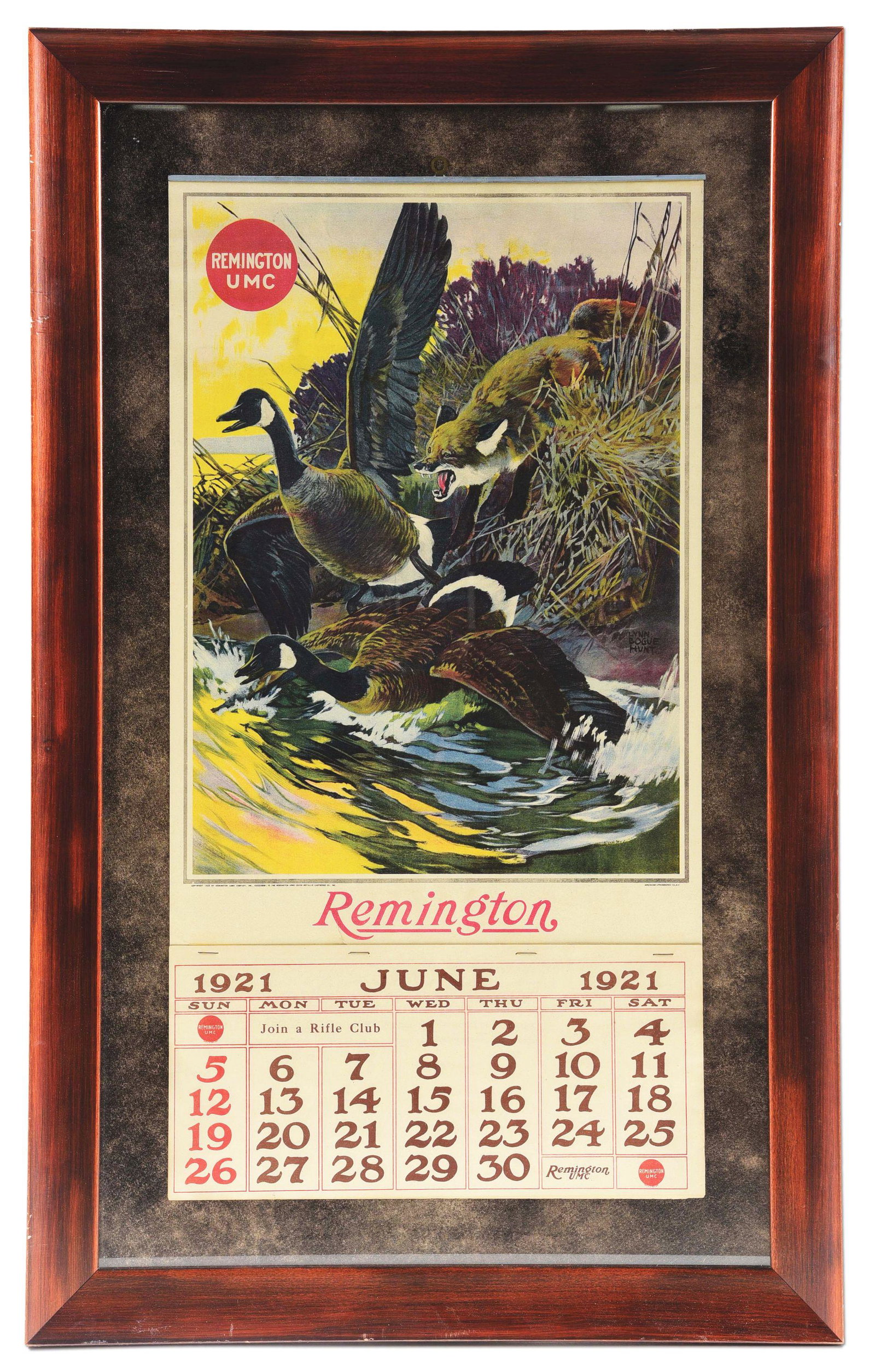 FRAMED 1921 REMINGTON CALENDAR.: Framed 1921 Remington calendar depicting a red fox trying to catch a Canadian goose. Great graphics. Top metal band is present. It is on the month of June. 15" wide by 28 - 1/2" tall. CONDITION: There