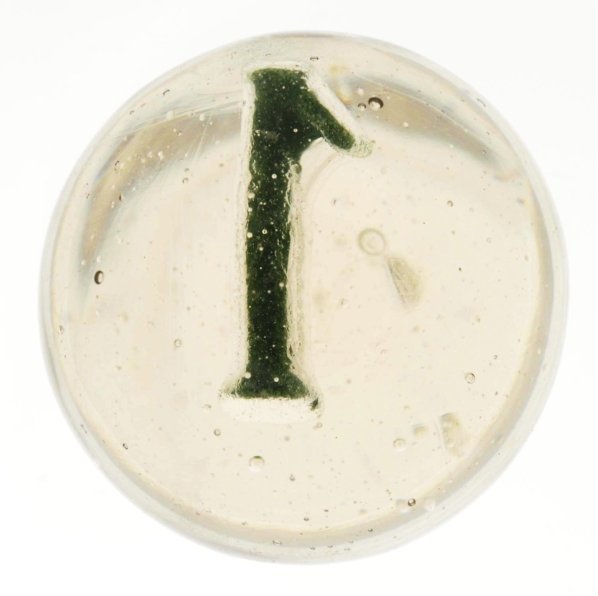 Painted Green No. 1 Sulphide Marble.: Figure is centered slightly high in marble. This marble has been buffed with pontil still showing and no damage. Condition (Buffed). Size 1 - 5/8"" Dia."