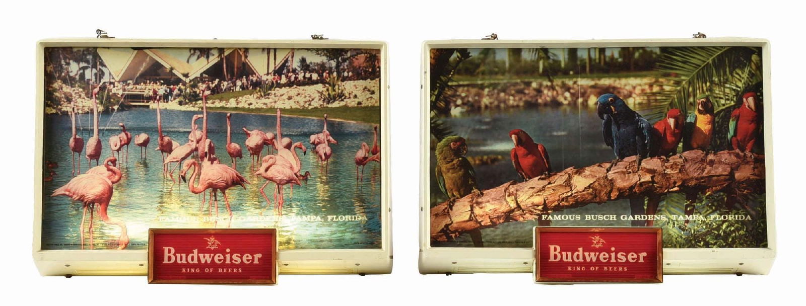 LOT OF 2: BUDWEISER KING OF BEER PINK FLAMINGO & PARROT PLASTIC LIGHT-UP SIGNS (1 of 5)