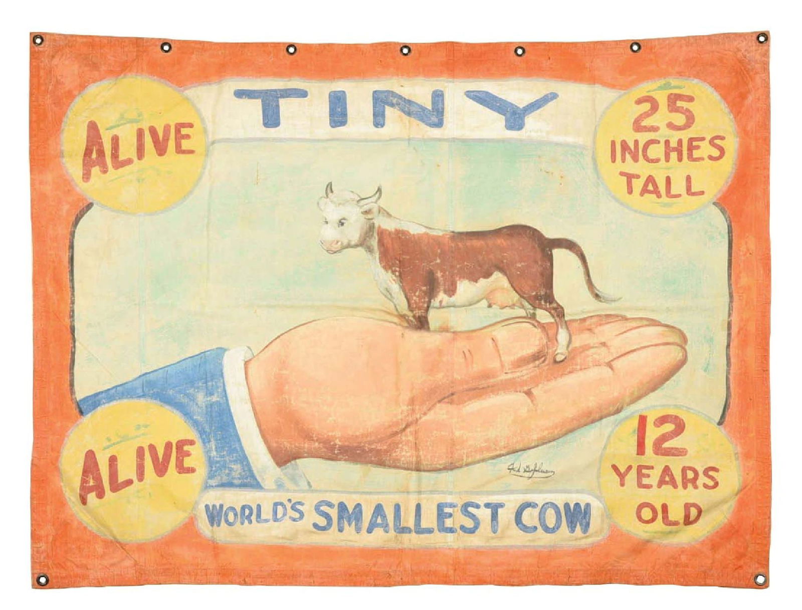 ORIGINAL CANVAS SIDESHOW BANNER FOR THE WORLD'S SMALLEST COW (1 of 3)