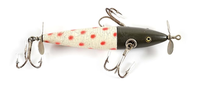 MUSKY CHARMER IN GREY HEAD WITH RED SPOTTED WHITE TAIL