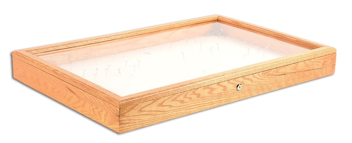 LARGE OAK DISPLAY CASE WITH KEY