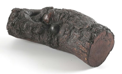 SECTION OF WITNESS TREE WITH CONFEDERATE ATTRIBUTED CANISTER SHOT.