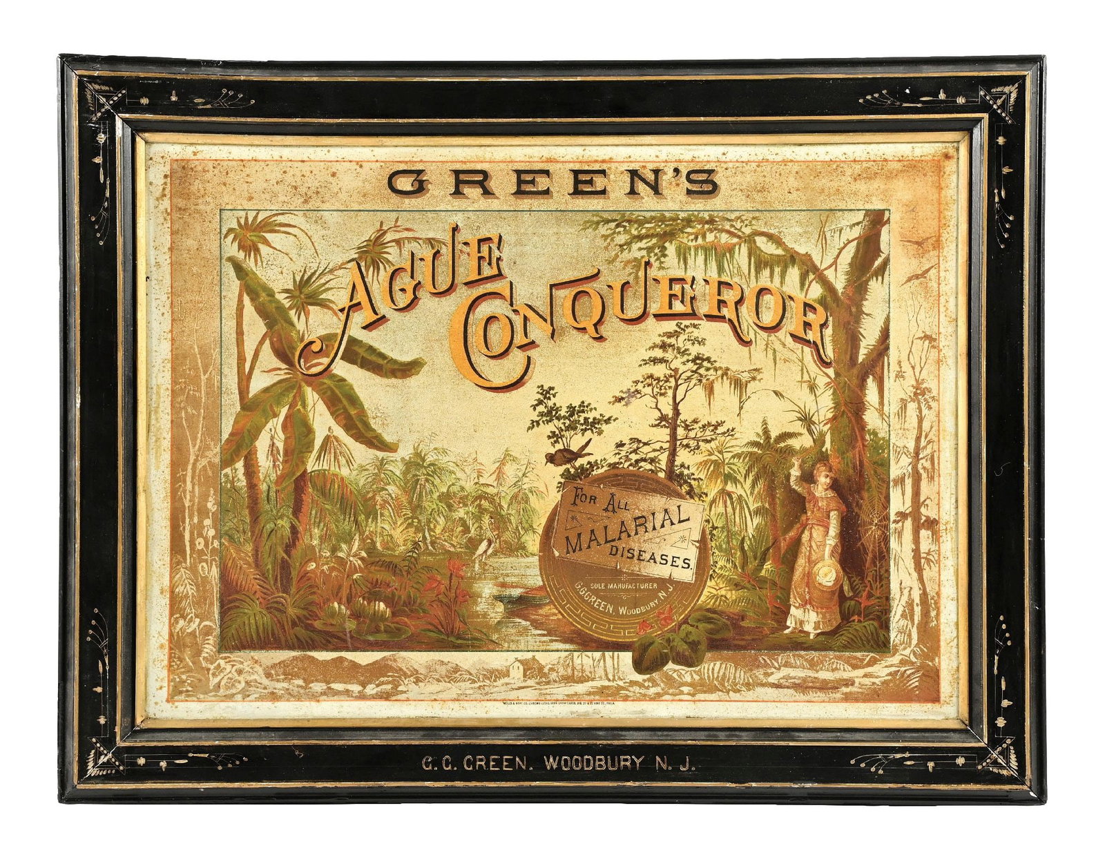 GREEN'S AGUE CONQUEROR MALARIAL DISEASE SIGN: SST. Maker marked "Wells & Hope." This c. 1900 single-sided tin sign from Green's Ague Conqueror Malaria Medicine shows a jungle scene graphic, as well as retains its original frame marked "G.G. Green