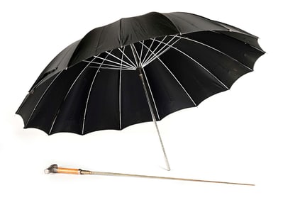 UMBRELLA SWORD CANE.