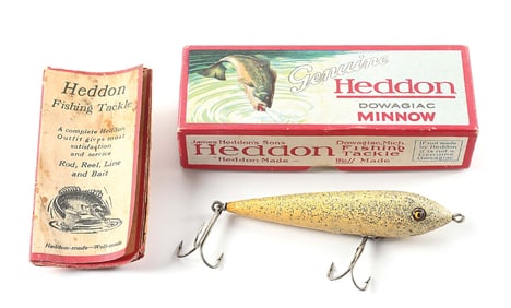 STUNNING SALTWATER ZARAGOSSA IN BOX