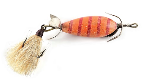 CLINTON WILT LITTLE WONDER ORANGE RED STRIPE