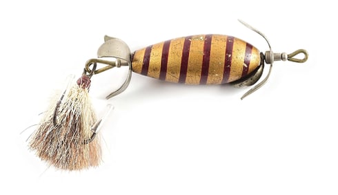 GOLD RED STRIPE CLINTON WILT LITTLE WONDER