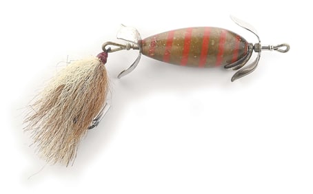 GOLD & ORANGE CLINTON WILT LITTLE WONDER