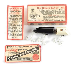 AMAZING BLACK BODY WHITE HEAD BOXED ZIG WAG