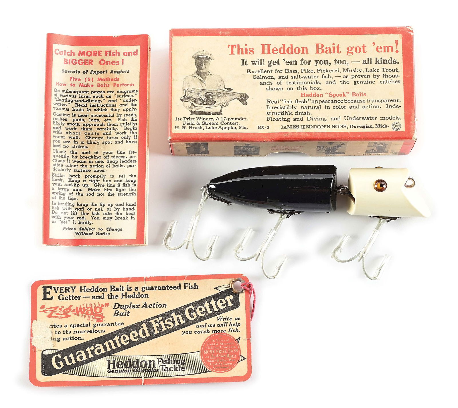 AMAZING BLACK BODY WHITE HEAD BOXED ZIG WAG (1 of 10)