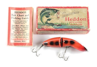 BOXED BABY GAMEFISHER ORANGE BLACK SPOTS