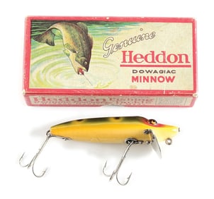 SPECIAL ORDER BABY VAMP IN FROG SPOT